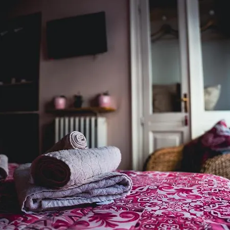 Finestra Romantica Al Palaalpitour E Stadio A 2 Minuti * Turín