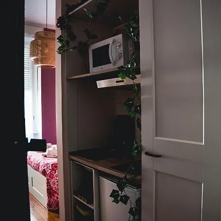 Finestra Romantica Al Palaalpitour E Stadio A 2 Minuti Lejlighed Torino