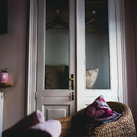 Finestra Romantica Al Palaalpitour E Stadio A 2 Minuti Apartamento Turín