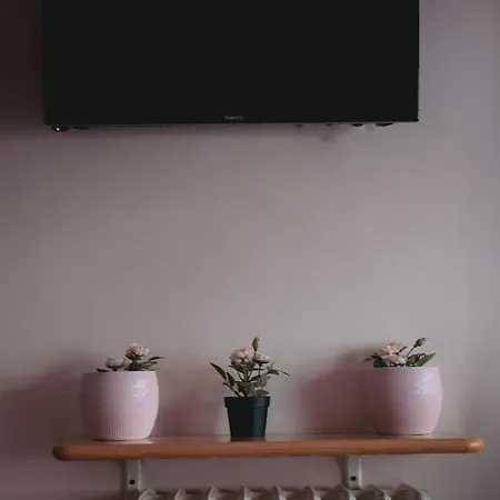 Lejlighed Finestra Romantica Al Palaalpitour E Stadio A 2 Minuti