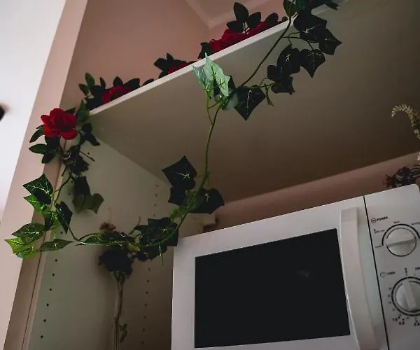 아파트 Finestra Romantica Al Palaalpitour E Stadio A 2 Minuti *