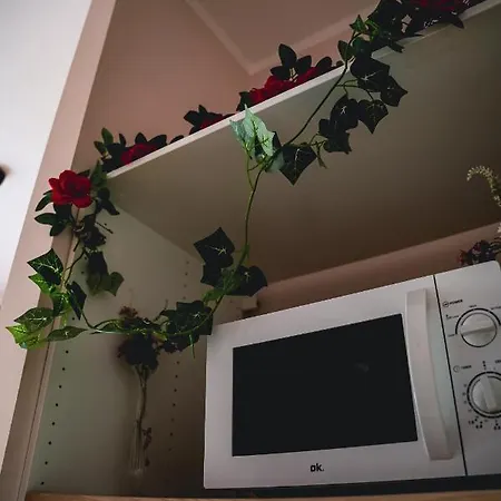 Appartement Finestra Romantica Al Palaalpitour E Stadio A 2 Minuti *